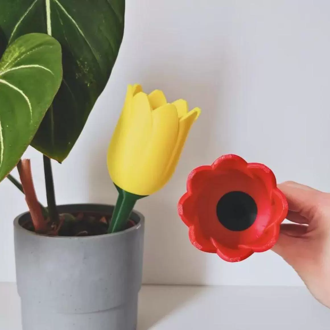 Самополивный кашпо: новый автоматический полив для цветов на открытом воздухе от Amazon