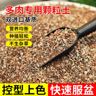 Fleshy plant nutrient soil imported peat soil fleshy soil leaf insertion pot soil fleshy special soil pure granular pavement