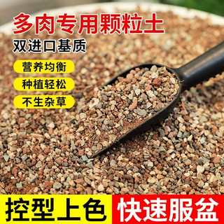 多肉植物营养土进口泥炭土多肉土叶插换盆土多肉专用土纯颗粒铺面