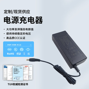 �S�����l12.6V6A8A10A�늳س����120W�C����36V42V늄�܇�����