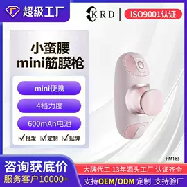 筋膜枪;生发仪、护发仪;电吹风