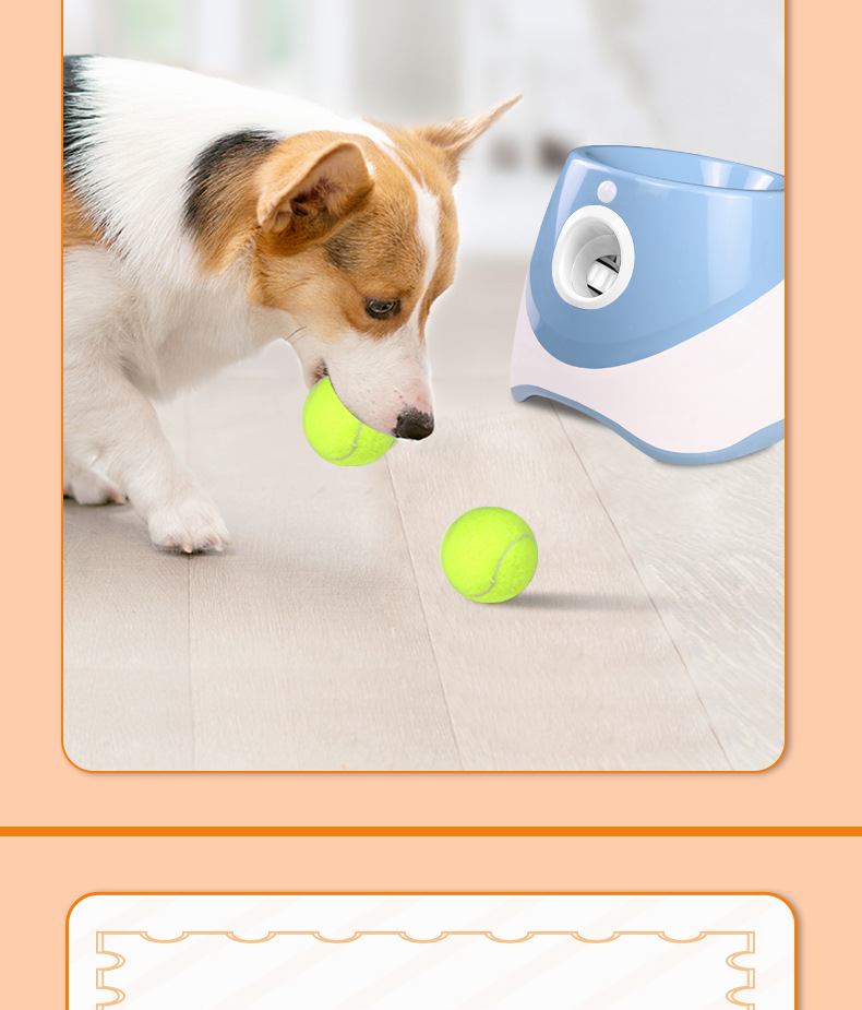 宠物自动发球机_05.jpg