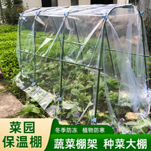 蔷薇爬藤架组合院子保温花架蔬菜棚架种菜大棚支架阳台家用撑杆