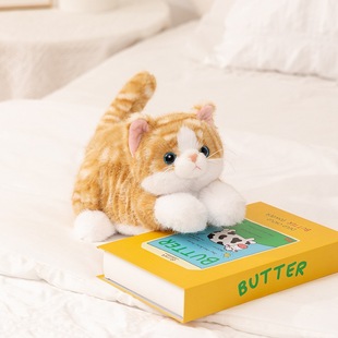 ِ��-����ſ��؈����؈�乫����żë�q���