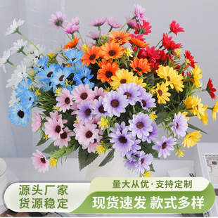 ���滨���l�Wʽ������18�^��ɫС�r�ռٻ����컨�ҾӾƵ�����b�
