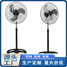 �羳���� ���������L�� ���L��������L�ȴ����������Q����