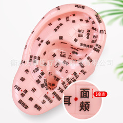 耳穴按摩用品高清晰耳朵模型中醫教學王不留籽耳穴貼彈性探穴筆針