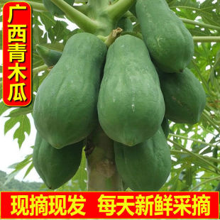 �V����ľ��8�����r�ЋDˮ�����ᷬľ��������ľ�϶�Ҏ��