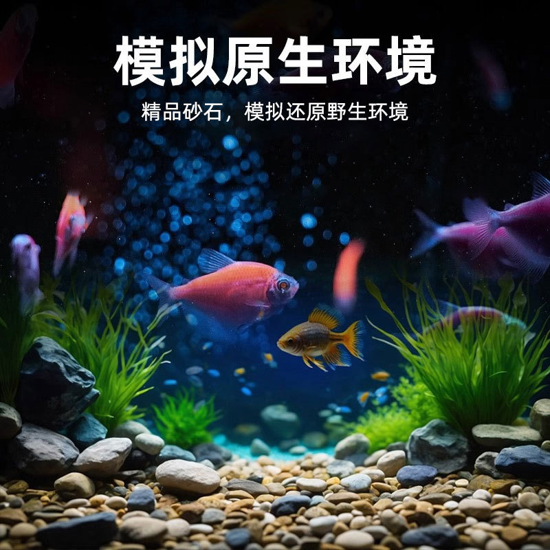 厂家直销原生溪流石鱼缸造景石垫底铺面底砂水族箱专用鹅卵石批发
