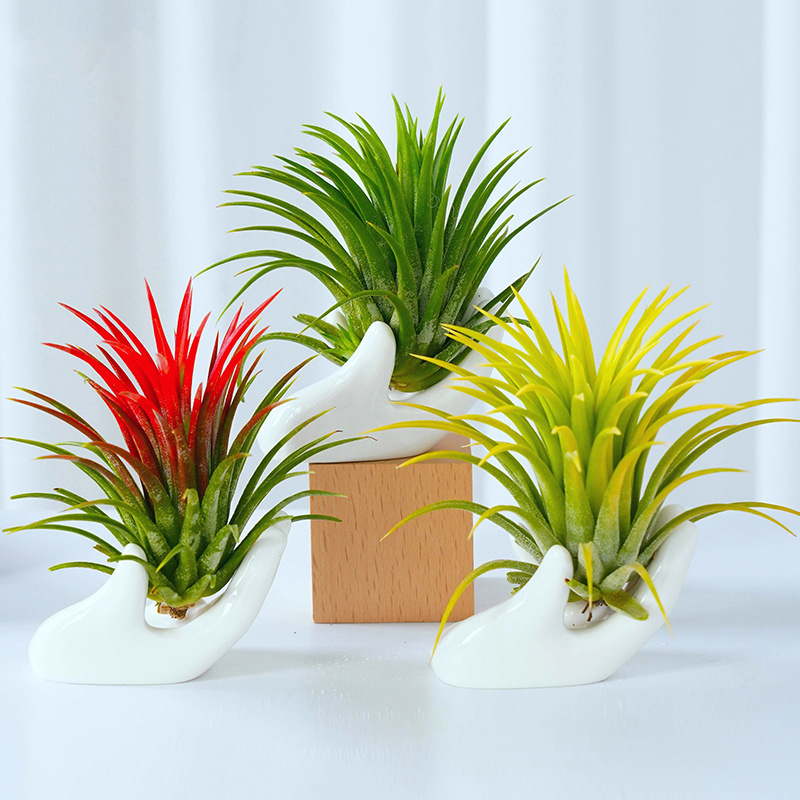 d30bb338-be7e-4071-bfb7-3ebf75e50278.jpe