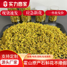 霍山特产石斛花干花中药材散装瓶装批发食品滋补爆款礼品石斛花茶
