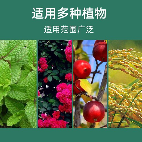 Oil vine soil activator Potassium fulvic acid microbial inoculant Pine soil compaction improver activator manufacturer