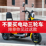 接送小孩子 电动三轮车家用小型迷你女士电瓶代步车不倒翁其他