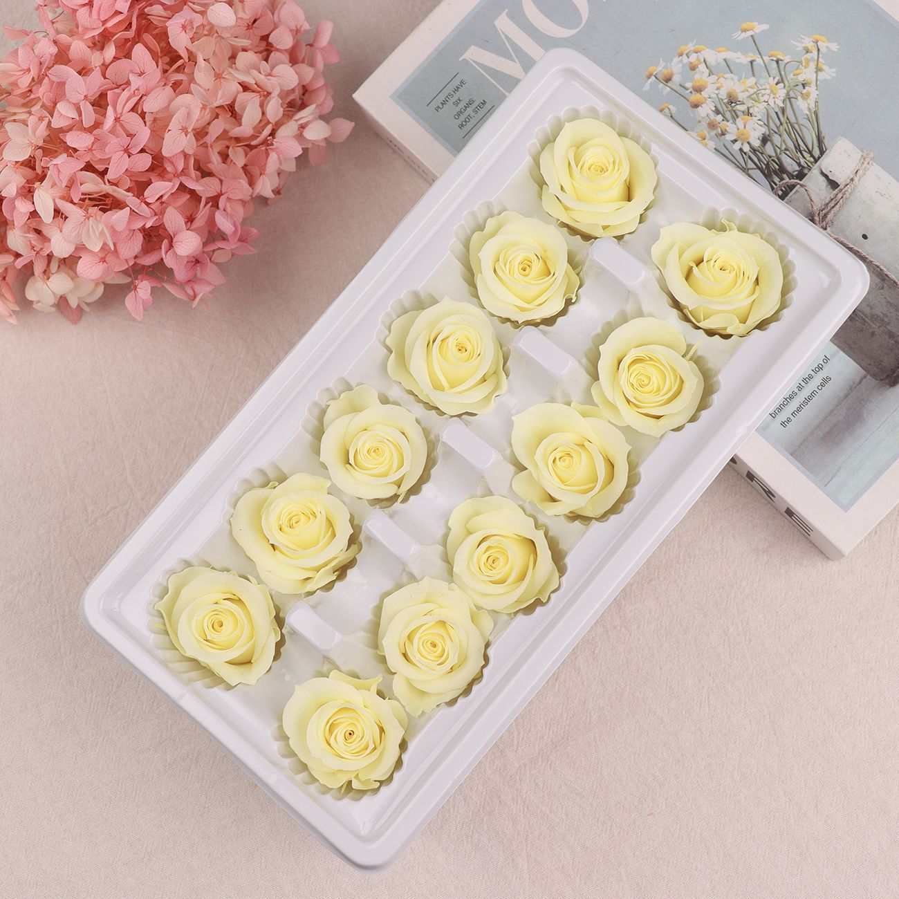 Cabezas de Rosa Eternas A+, 3-4 cm, 12 Piezas, Materiales para Manualidades Florales, Caja de Regalo, Fabricante, Venta al por Mayor