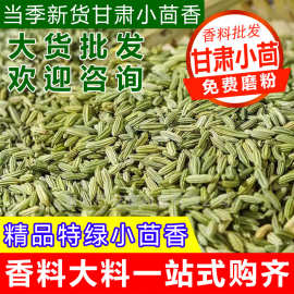 小茴香香料1斤小茴香籽产地直发甘肃小茴香香料调料大全大料批发