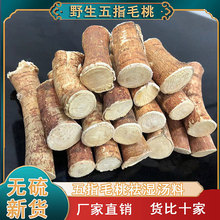 广东客家一件煲汤材料无硫无添加节段五指毛桃中间段草本中药材