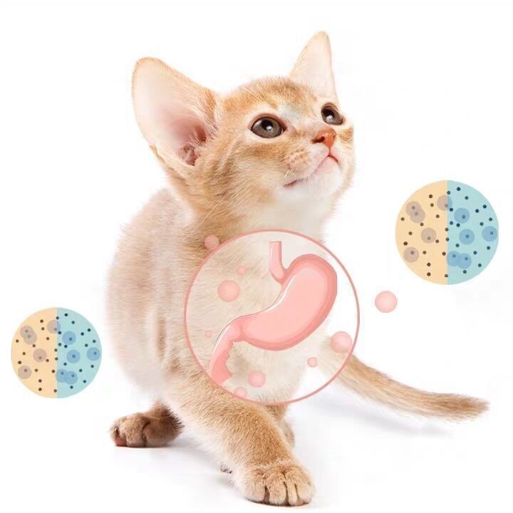 84609db5-4e5b-4f91-9a59-76b67839e957.jpe