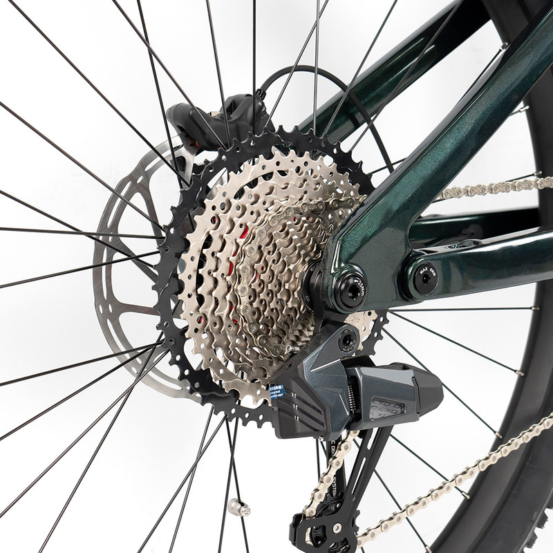 CYCTRAC 電動アシストソフトテールバイク M820 Bafang ミッドモーターマウンテンオフロードリチウム電動アシスト自転車|undefined