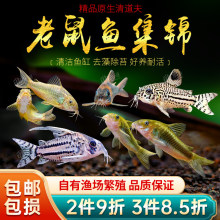 �����ח������~�����󻨽����������~�����~�^�p�Ꭷ�����~���w