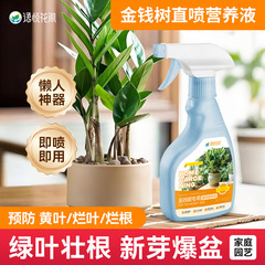 Yuyue Huajian Money Tree 特別な栄養液メーカー卸売無希釈直接噴霧大型鉢植え観葉花肥料