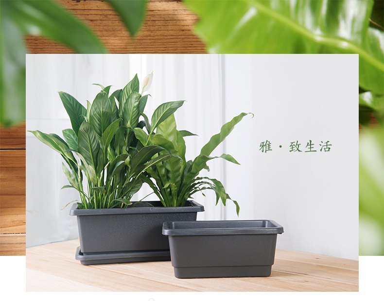辉虹-长方花盆_01.jpg