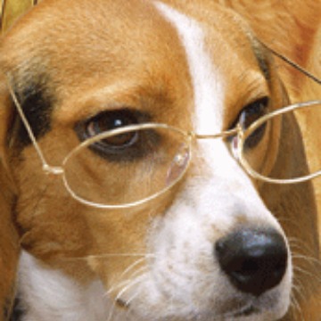 深圳印刷生产各种柱镜光栅3D书签制作,光栅立体3D书签厂家,3D书签