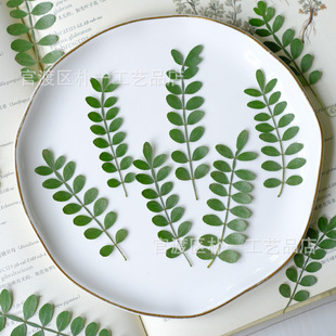Pepper leaves dry leaves small fresh flower diy handmade materials drop glue mobile phone shell children's handmade materials