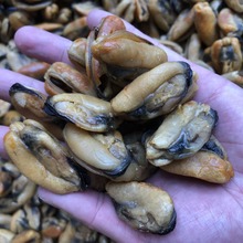 �󂀵��˸�(���磩�����