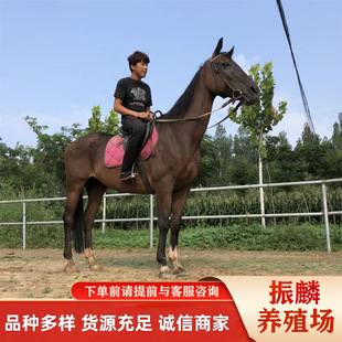 �T���R���^�T���RС�R���������R���ﰫ�_�RС���R���RС�R�x
