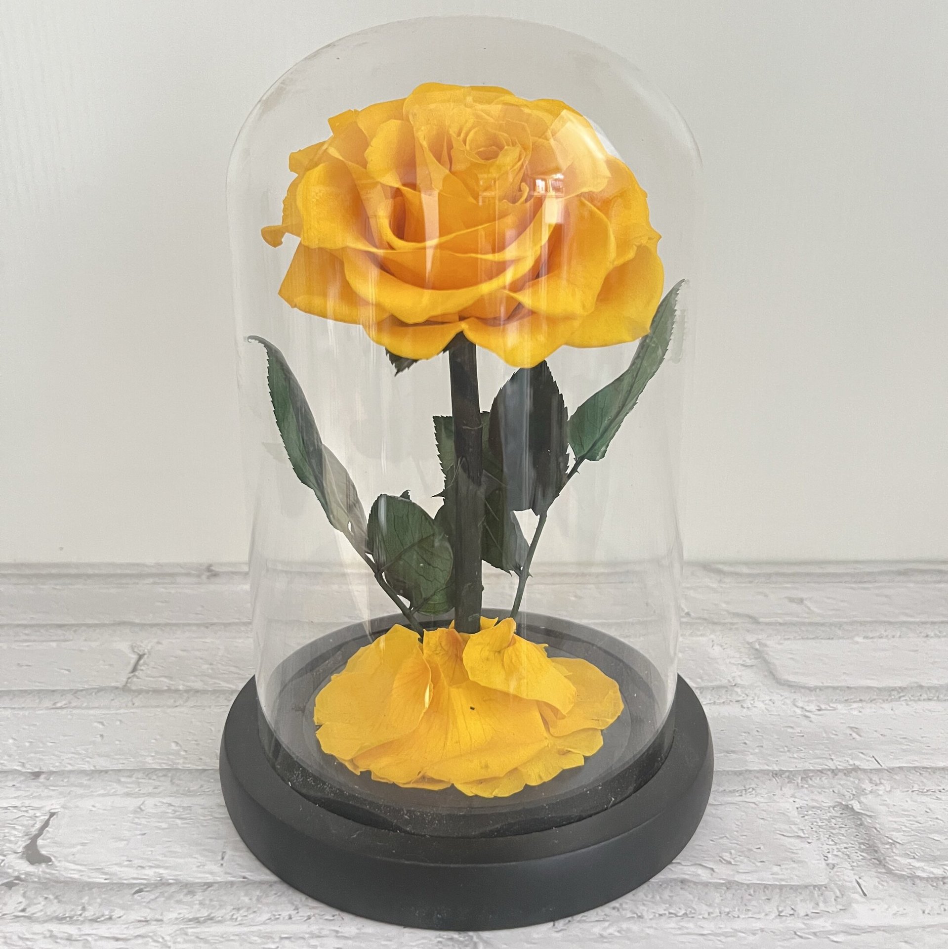 빛과 선물 상자가 없는 황금색 노란색 검정색 배경