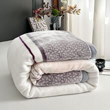 A类双层拉舍尔天丝超柔云毯加厚牛奶绒学生宿舍冬季单双人大毛毯
