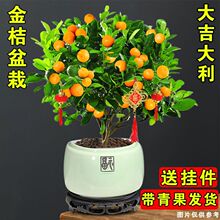 �ļ�������Ԏ����������Ә��ֲ̨��������ؔ����С���ӾGֲ����