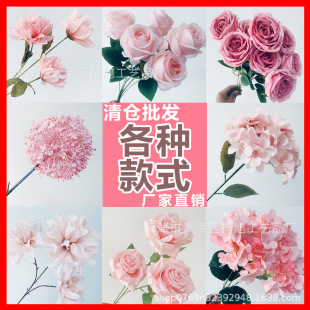 ��ɫϵ��c���滨�ŵ��Ž����ٻ��Ļ�Y�õ��·���b�ˇ���l