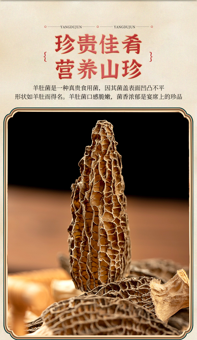 详情页-羊肚菌无规格_02