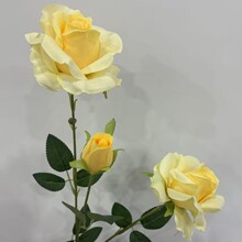 �¿���õ�����c�����������ϻ��ٻ��Ƶ��쾰�bɻ������[��