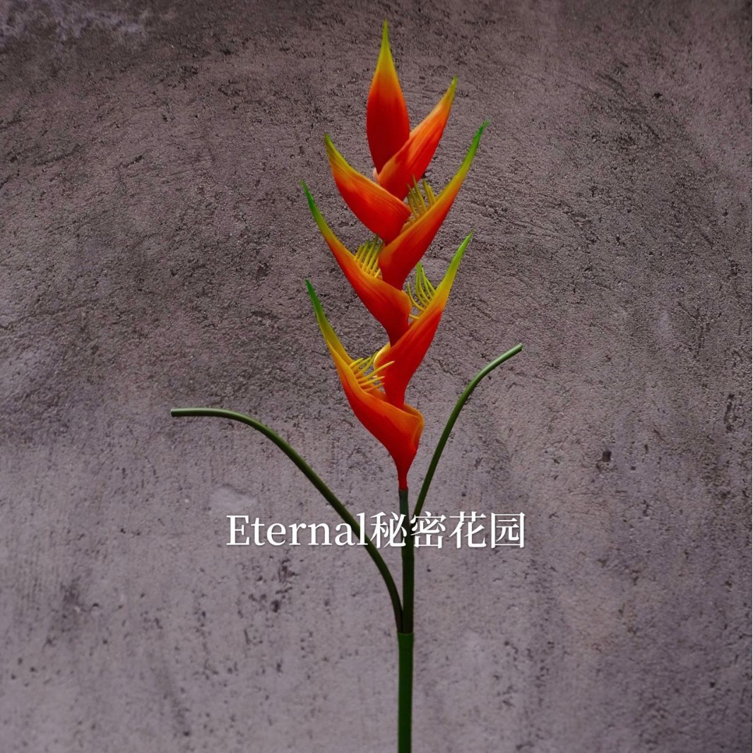 Vertical hanging bird of paradise