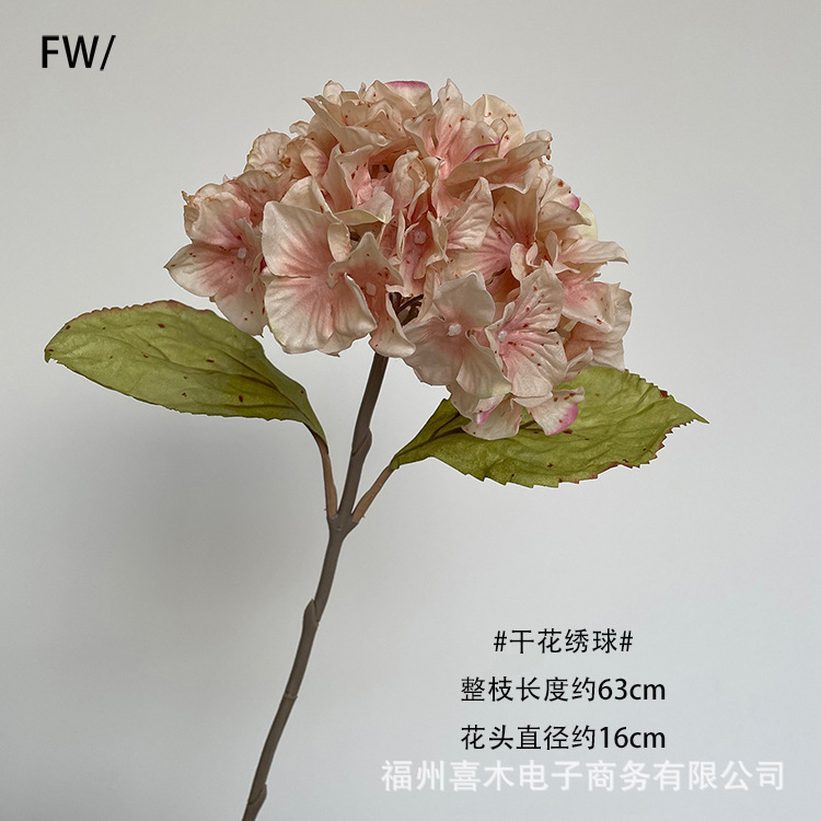 photo-output_3 9副本.jpg