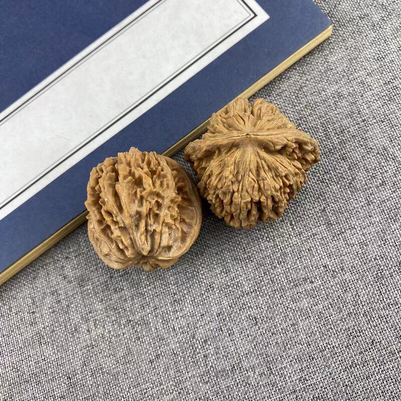 開背ヒキガエルの頭の文はクルミの低い杭を遊んで、先の古い木の延慶の金のヒキガエルの手は収集級の男女を遊んでクルミを遊びます。|undefined