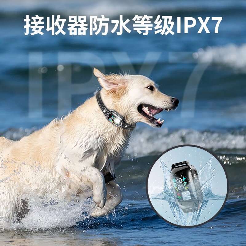 Entrenador de perros AI Nuevo entrenador de perros transfronterizo Amazon éxito Entrenador de perros Amazon Entrenador de perros Amazon Entrenador de perros Amazon