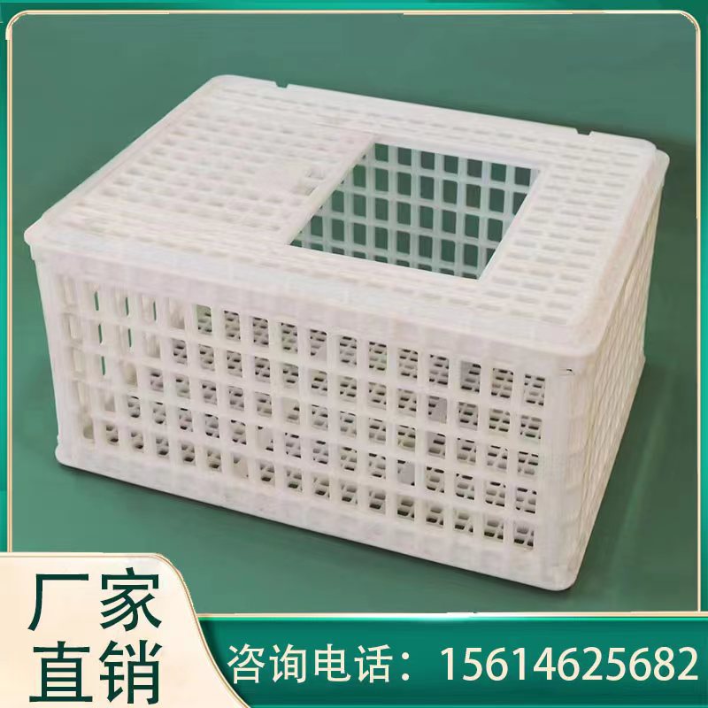 塑料鸡笼筐厂家批发 毛鸡运输筐 方形塑料鸡筐 商品鸡周转笼