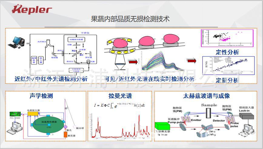 果蔬內(nèi)部品質(zhì)無損檢測技術(shù)