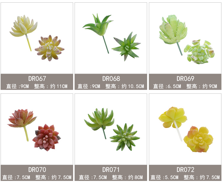 新单枝模板60-90_05