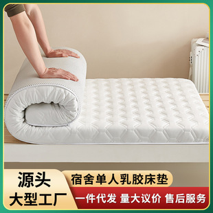 Single Latex Memory Foam Mattress for Primary and Secondary School Students' Dormitory, University Tatami Soft Mat, Breathable for Children
