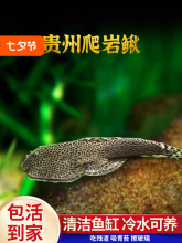 �F�������q�����~�p���P��ˮ����򲻼Ӝس����~�~���坍��ԭ���~