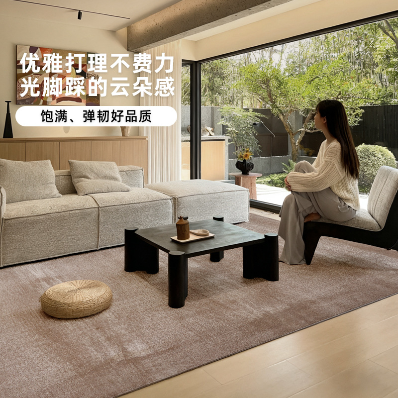 Alfombra de nylon de alta calidad sala de estar alfombra antideslizante alfombra de meseta exportación transfronteriza estudio apartamento alfombra de dormitorio personalizada