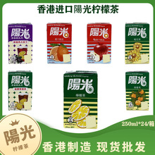 香港阳光柠檬茶进口饮料黑加仑/锡兰夏日冷饮红茶饮料250ml*24盒