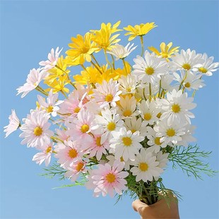 ���滨�b�5�^СҰ���b�c���컨С�r�ռٻ����滨һ��