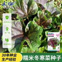 Ŵ�׶����˷N�Ӹ��}�R��˿��˴����ļ����{�˷N���̨�߲��Ѵ�ȫ