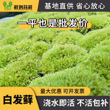 װl\ ̦\r΢^Gֲ辰ɽ쾰ֲ