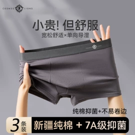 男士平角裤;女士三角裤;其它男士内裤